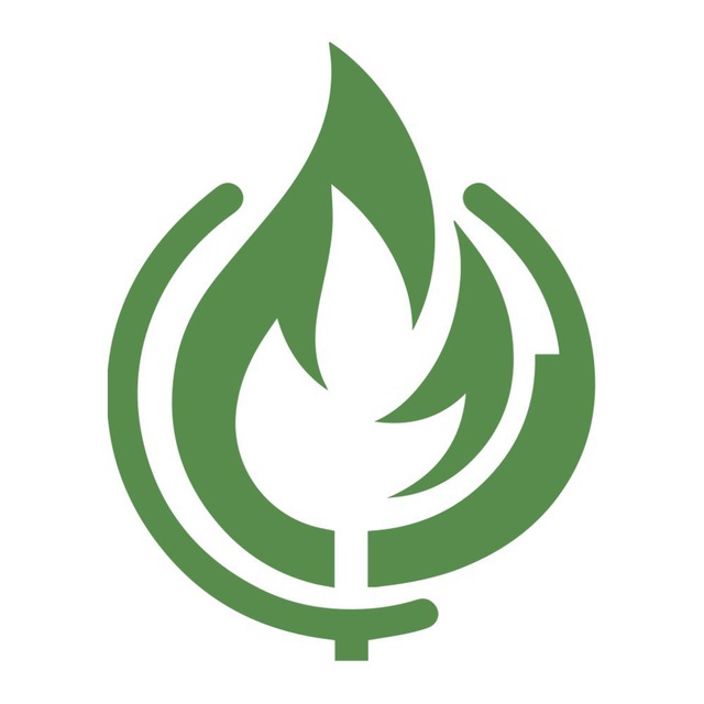 Logo&nbsp;Wild Marvel